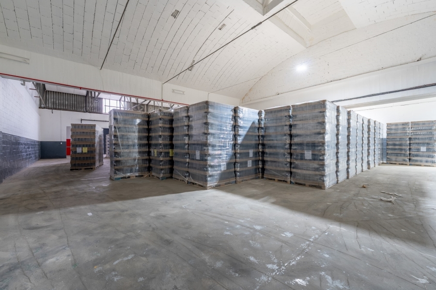 To Let commercial Property for Rent in Dal Josafat Western Cape